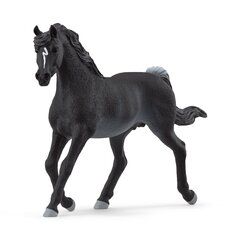 Figuur Araabia täkk Schleich Horse Club hind ja info | Mänguasjad poistele | hansapost.ee