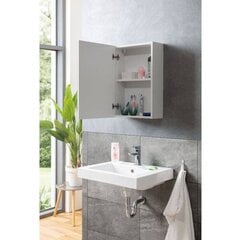 Шкафчик для ванной комнаты Aatrium Solo 2 2730, белый цена и информация | Шкафчики для ванной | hansapost.ee