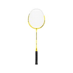 Sulgpalli komplekt price and information | Badminton | hansapost.ee