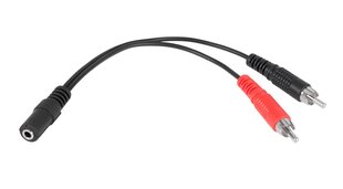 кабельная муфта 3,5-2xrca 20 см цена и информация | Адаптеры, USB-разветвители | hansapost.ee