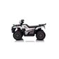 Ühekohaline elektriline laste atv Quad JC915, valge hind ja info | Laste elektriautod | hansapost.ee