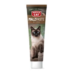 Perfecto Cat pasta kassidele Malzpaste, 100 g цена и информация | Витамины, добавки и средства от паразитов для кошек | hansapost.ee