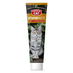 Perfecto Cat pasta kassidele Vitaminpaste, 100 g цена и информация | Витамины, добавки и средства от паразитов для кошек | hansapost.ee