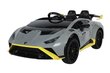 Ühekohaline elektriauto Lamborghini Lean Toys, hall цена и информация | Laste elektriautod | hansapost.ee