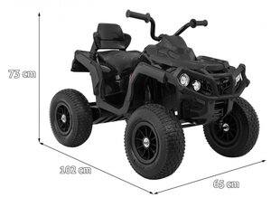 Elektriline ATV lastele Super-Toys price and information | Laste elektriautod | hansapost.ee