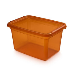 контейнер для хранения 28x38x22,5 см 15 л цена и информация | Корзины и ящики для хранения | hansapost.ee