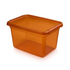 контейнер для хранения 28x38x22,5 см 15 л цена и информация | Корзины и ящики для хранения | hansapost.ee