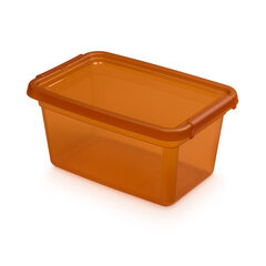 контейнер с крышкой и зажимами 19x28x13см 4,5л цена и информация | Корзины и ящики для хранения | hansapost.ee