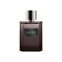 Avon Elite Gentleman EDT tualettvesi meestele, 75 ml hind ja info | Parfüümid meestele | hansapost.ee