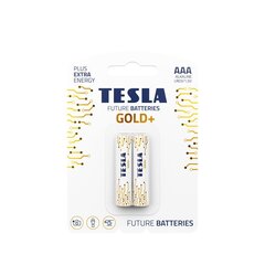 Tesla Gold Plus цена и информация | Аккумуляторы для фотоаппаратов | hansapost.ee