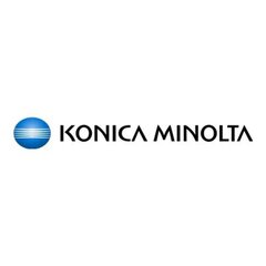 Тонер Konica-Minolta Коника-Минолта TN-514 TN514 Желтый желтый (A9E8250) цена и информация | Картридж Actis KH-653CR | hansapost.ee