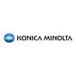 Konica Minolta A95X06D цена и информация | Laserprinteri toonerid | hansapost.ee