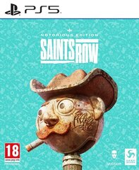 Saints Row Notorious Edition Playstation 5 PS5 игра цена и информация | Компьютерные игры | hansapost.ee