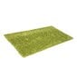 Vaip Shaggy Light Green, 200x290 cm цена и информация | Vaibad | hansapost.ee