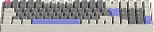 IQUNIX mänguri klaviatuur IQUNIX F97 VariablexRGB TTC Gold Pink valge/hall/violetne цена и информация | Клавиатура с игровой мышью 3GO COMBODRILEW2 USB ES | hansapost.ee