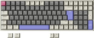 IQUNIX mänguri klaviatuur IQUNIX F97 VariablexRGB TTC Gold Pink valge/hall/violetne цена и информация | Клавиатуры | hansapost.ee