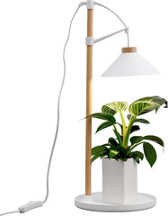 Airam laualamp Lily Plant Lamp 9W/840 550 lm valge/puu hind ja info | Nutipotid ja taimelambid | hansapost.ee