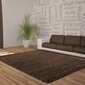 Vaip Ayyildiz Shaggy Dream Brown 4000, 200x290 cm hind ja info | Vaibad | hansapost.ee