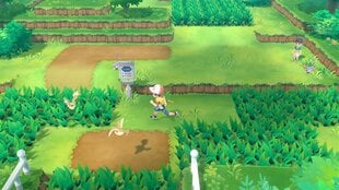 Игра Pokémon: Let's Go, Pikachu! для Nintendo Switch, 045496423155 цена и информация | Компьютерные игры | hansapost.ee