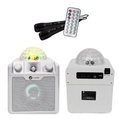 N-Gear Block Disco Block 410 White цена и информация | Аудио колонки | hansapost.ee