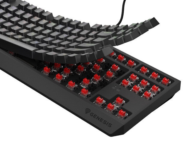 Natec Thor 230 TKL RGB Outemu Red (NKG-2077) hind ja info | Klaviatuurid | hansapost.ee