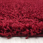 Vaip Ayyildiz LIFE red, 200X290 cm hind ja info | Vaibad | hansapost.ee