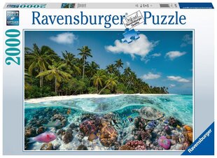 Ravensburger пазл на 2000 элементов "A Dive in the Maldives" цена и информация | Пазлы | hansapost.ee