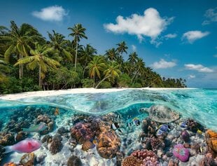 Ravensburger пазл на 2000 элементов "A Dive in the Maldives" цена и информация | Пазлы | hansapost.ee
