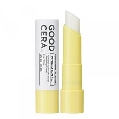 HOLIKA HOLIKA Good Cera Super Ceramide Lip Oil Stick 3.3g цена и информация | Помады, бальзамы, блеск для губ | hansapost.ee