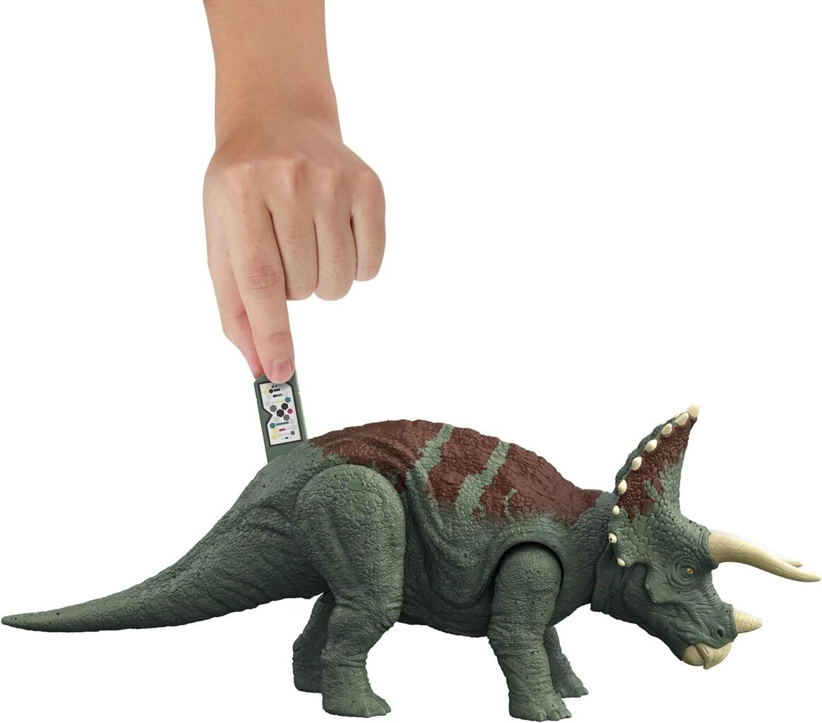 Figuur Mattel Jurassic World Triceratops Wild Roar HDX34 hind ja info | Mänguasjad poistele | hansapost.ee