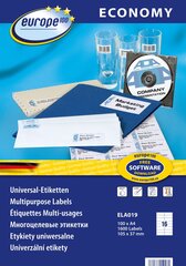 Kleebitavad etiketid Avery Europe A4, 105x37 mm hind ja info | Kirjatarvikud | hansapost.ee