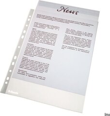 Dokumentide kaustad Esselte A4, 25 tk hind ja info | Kirjatarvikud | hansapost.ee