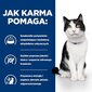 Hill's PD I/D Digestive Care täiskasvanud kassidele kanaga, 3 kg hind ja info | Kassi kuivtoit ja kassikrõbinad | hansapost.ee