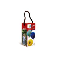 Pallidega žongleerimine hind ja info | Arendavad laste mänguasjad | hansapost.ee