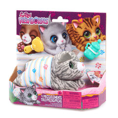 Interaktiivne loom Furreal Newborns цена и информация | Игрушки для девочек | hansapost.ee