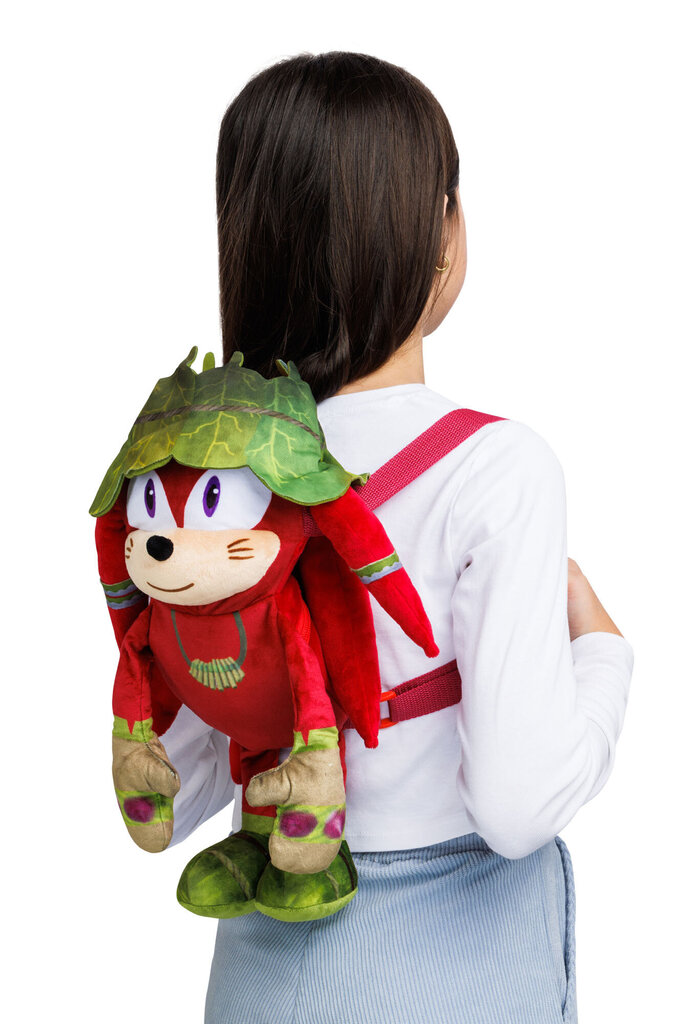 Laste seljakott Sonic, 30 cm hind ja info | Koolikotid ja seljakotid | hansapost.ee