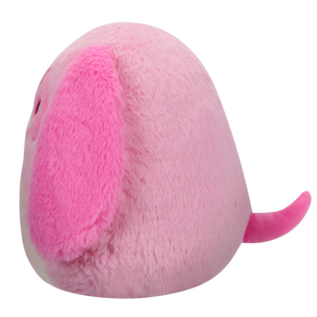 Pehme mänguasi Fuzz-A-Mallows Squishmallows, 30 cm цена и информация |  Pehmed mänguasjad ja kaisukad | hansapost.ee