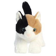 AURORA Eco Nation Мягкая игрушка Кошка, 21 см цена и информация | Мягкие игрушки | hansapost.ee