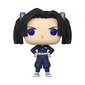 Funko Pop! Vinüülfiguur: Demon Slayer – Aoi Kanzaki (koos Chase'iga) hind ja info | Fännitooted mänguritele | hansapost.ee