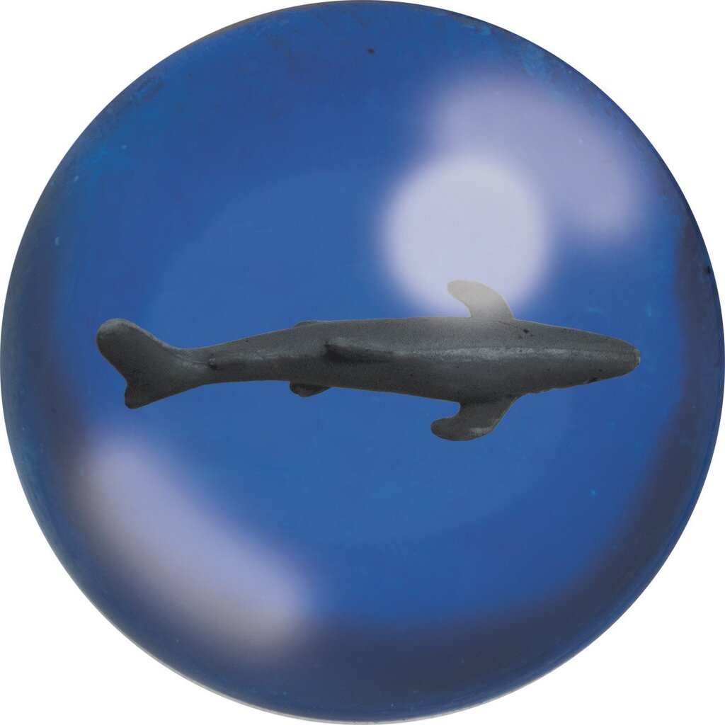 Shark Ball Deluxebase hind ja info | Ranna- ja õuemänguasjad | hansapost.ee