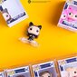 FUNKO Bitty POP! Figuuride mitmikpakk: Friends цена и информация | Fännitooted mänguritele | hansapost.ee