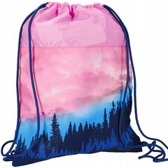 Kott-seljakott Starpak Dream 485941, 45x36 cm цена и информация | Школьные рюкзаки, спортивные сумки | hansapost.ee