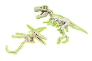 Набор для раскопок Clementoni Jurassic World Dig T-Rex E Pteranodon цена и информация | Игрушки для мальчиков | hansapost.ee