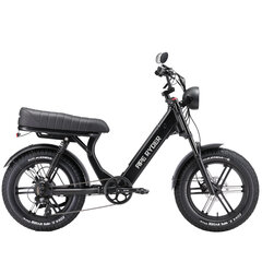 Электрический велосипед APE RYDER 20 MD10 Pro черный цена и информация | Электровелосипеды | hansapost.ee