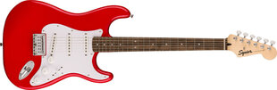Elektrikitarr Squier Sonic Stratocaster HT цена и информация | Гитары | hansapost.ee
