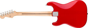 Elektrikitarr Squier Sonic Stratocaster HT hind ja info | Kitarrid | hansapost.ee