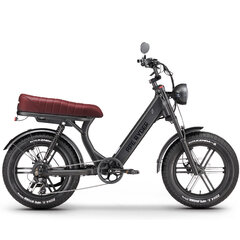 Электрический велосипед APE RYDER 20 MD10 Pro Antracite серый цена и информация | Электровелосипеды | hansapost.ee