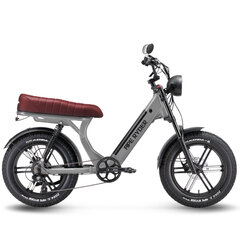 Электрический велосипед APE RYDER 20 MD10 Pro Nardo серый цена и информация | Электровелосипеды | hansapost.ee