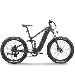 Электрический велосипед APE RYDER 26 Buffalo-F черный цена и информация | Электровелосипеды | hansapost.ee