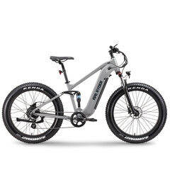 Электрический велосипед APE RYDER 26 Buffalo-F Nardo серый цена и информация | Электровелосипеды | hansapost.ee